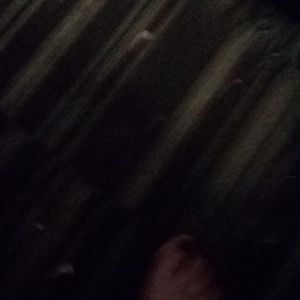 Meet your Posher, Curtis